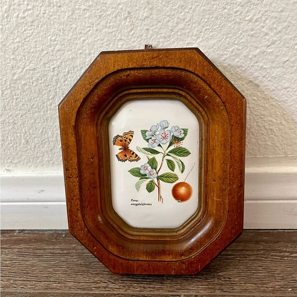 Wooden Framed Botanical Wall Art Berkeley house hand painted tile Italy - Picture 1 of 10